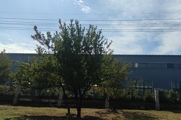 對于撫順鐵嶺沈陽彩鋼廠房的加工質量檢測至關重要 對于撫順鐵嶺沈陽彩鋼廠房的加工質量檢測至關重要